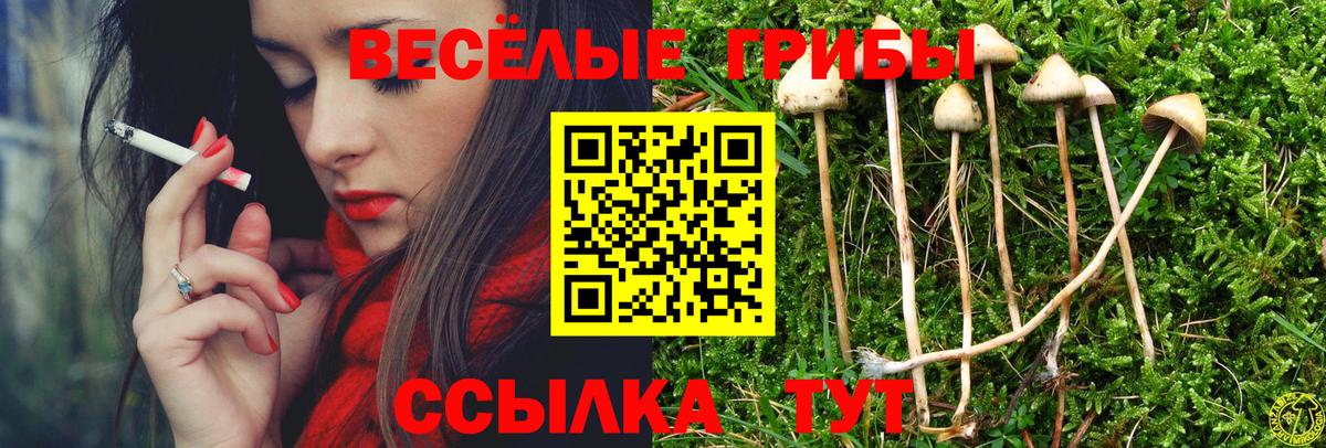 Псилоцибиновые грибы прущие грибы  Галлюциногенные грибы GOLDEN TEACHER  Вход с VPN  Куйбышев 