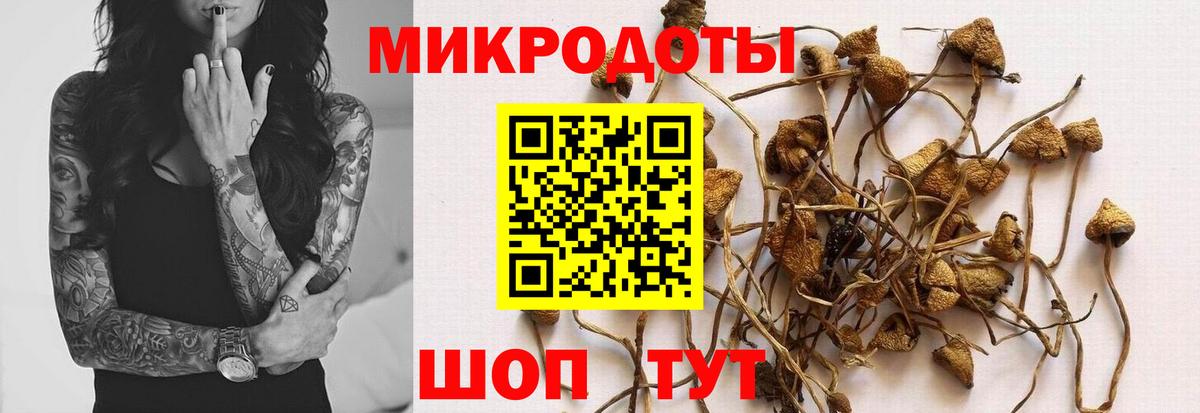 Псилоцибиновые грибы Cubensis Куйбышев